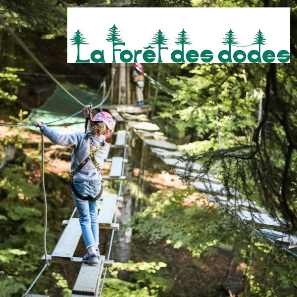 Vignette - La Forêt des Dodes